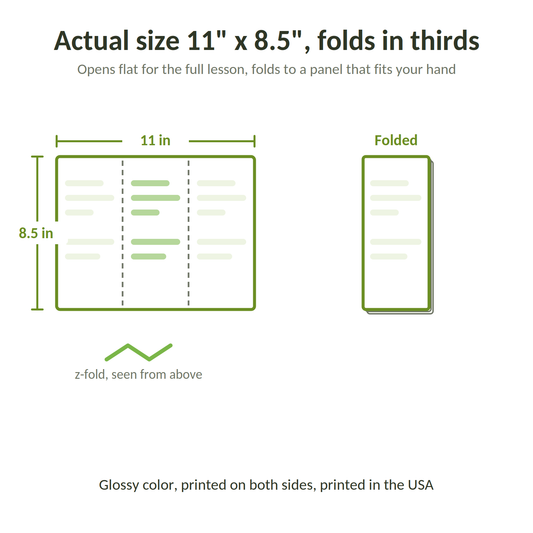 Actual size 11 by 8.5 inches, folds in thirds with a z-fold to a portrait panel that fits your hand, glossy color printed both sides, printed in the USA