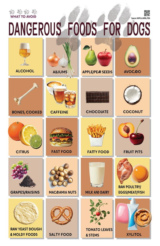 Dangerous Foods for Dogs: Avoid These Foods Poster 11" x 17" Laminated - Nutrition Education Store
