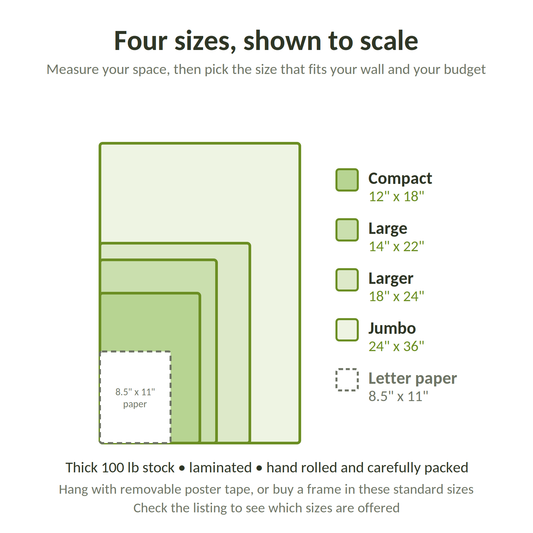 Four poster sizes shown to scale: compact 12x18, large 14x22, larger 18x24, jumbo 24x36, compared to a sheet of paper