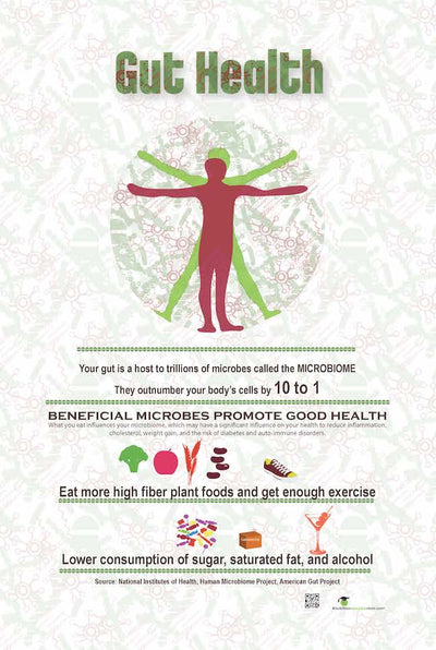 Exam Room Gut Health Poster - Microbiome Poster 12x18 - Nutrition Education Store