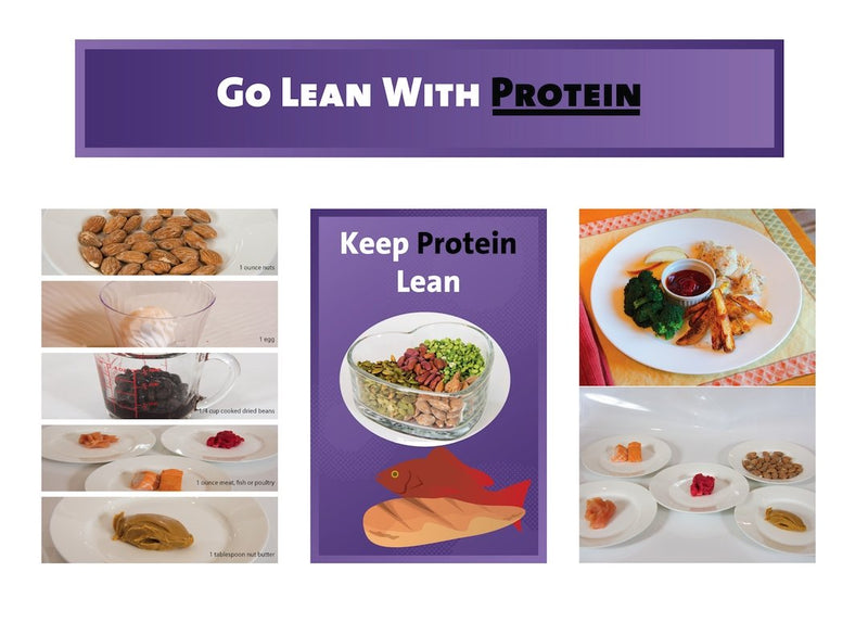 Protein Bulletin Board Kit - Nutrition Education Store