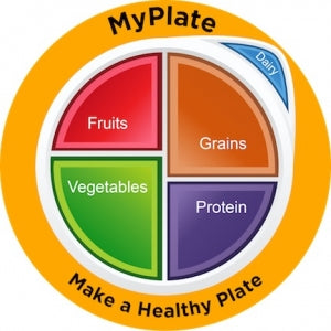 MyPlate Static Clings for plates and windows