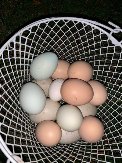 Consider Pasteurized Eggs