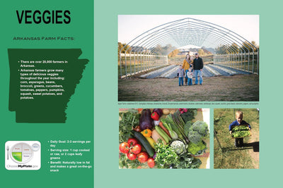 Custom farm to school wall decals brighten and educate school walls