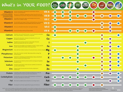Handout Sneak Peek: Vitamin and Mineral Chart