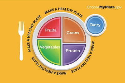 MyPlate Basics: A Handout