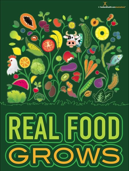 Real Food Grows Health Fair Display Theme - Nutrition Education Store