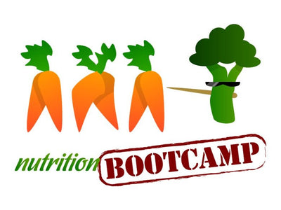 Nutrition PowerPoint Bootcamp and Handouts - DOWNLOAD - Nutrition Education Store - PowerPoint