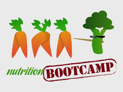 Nutrition PowerPoint Bootcamp and Handouts - DOWNLOAD