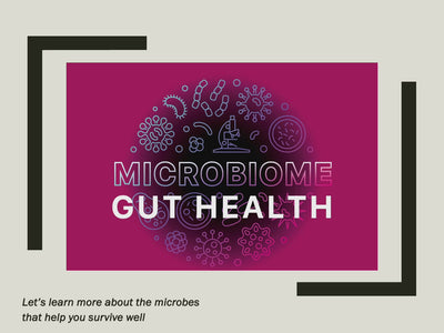 Microbiome PowerPoint and Handouts - Gut Health PowerPoint  - DOWNLOAD