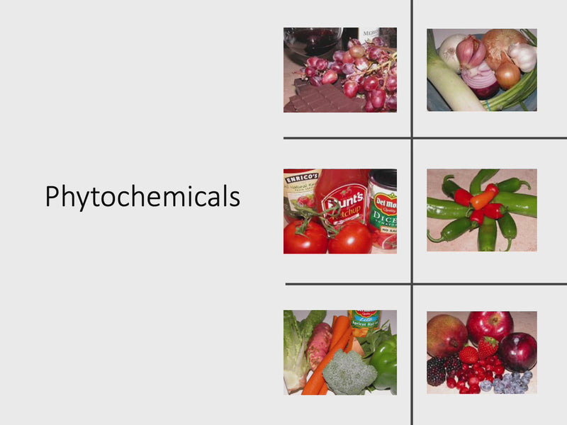 All About Phytochemicals  Going Hi-Phy - PowerPoint Presentation Slide Show and Handouts - DOWNLOAD