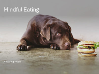 Mindful Eating PowerPoint Show