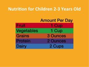 0 to 5 Baby and Toddler Nutrition PowerPoint and Handout Lesson - DOWNLOAD - Nutrition Education Store
