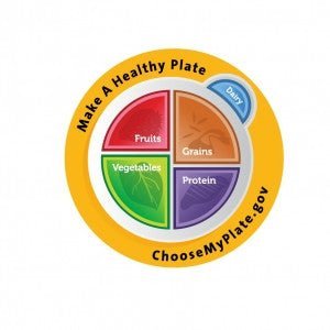 10 pack MyPlate Plate Plastic - Nutrition Education Store Exclusive Design - 10 Plates With Free Shipping - Nutrition Education Store
