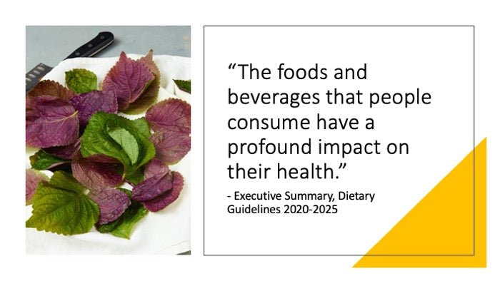 2020-2025 Dietary Guidelines PowerPoint Show and Handout Set - DOWNLOAD - Nutrition Education Store
