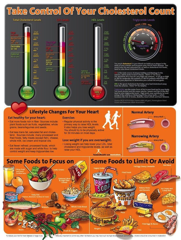About Your Cholesterol Poster - Chart to Understand All the Terms and How to Improve Them - Nutrition Education Store