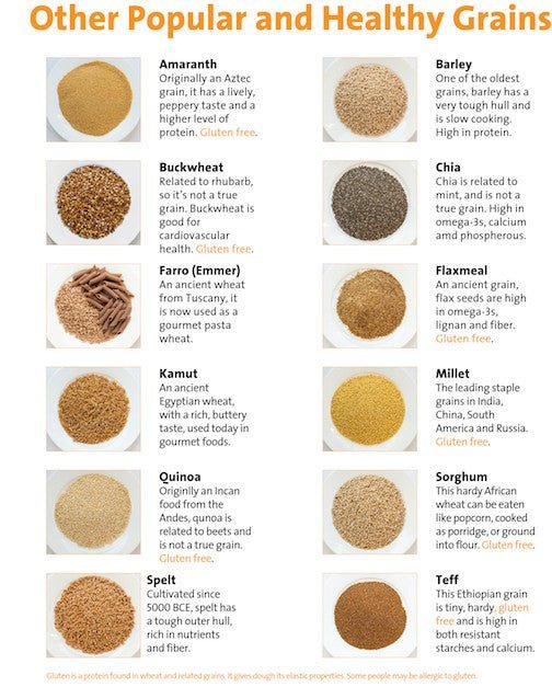 All About Whole Grains Tearpad - Color Handout Tearpad - Nutrition Education Store