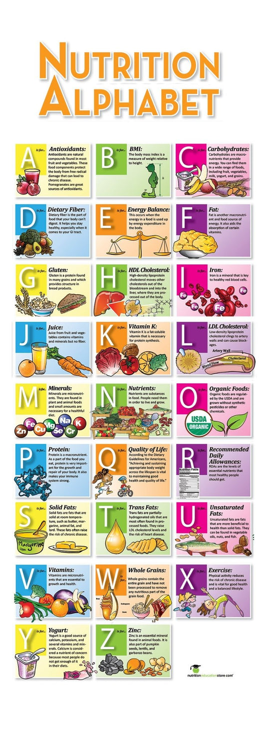 Alphabet of Nutrition A to Z Banner On Stand - 24" x 67" - Vinyl Banner - Nutrition Education Store