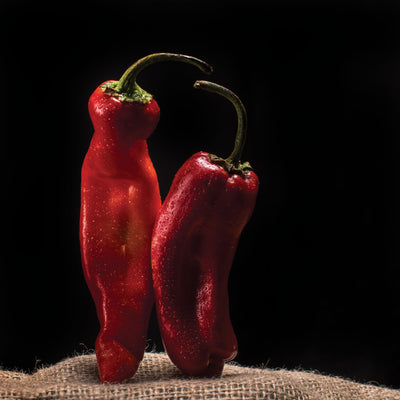 Art Print 14" x 14" Food Photograph "Dancing Chillies" on Canvas Foam Board Ready to Hang - Nutrition Education Store