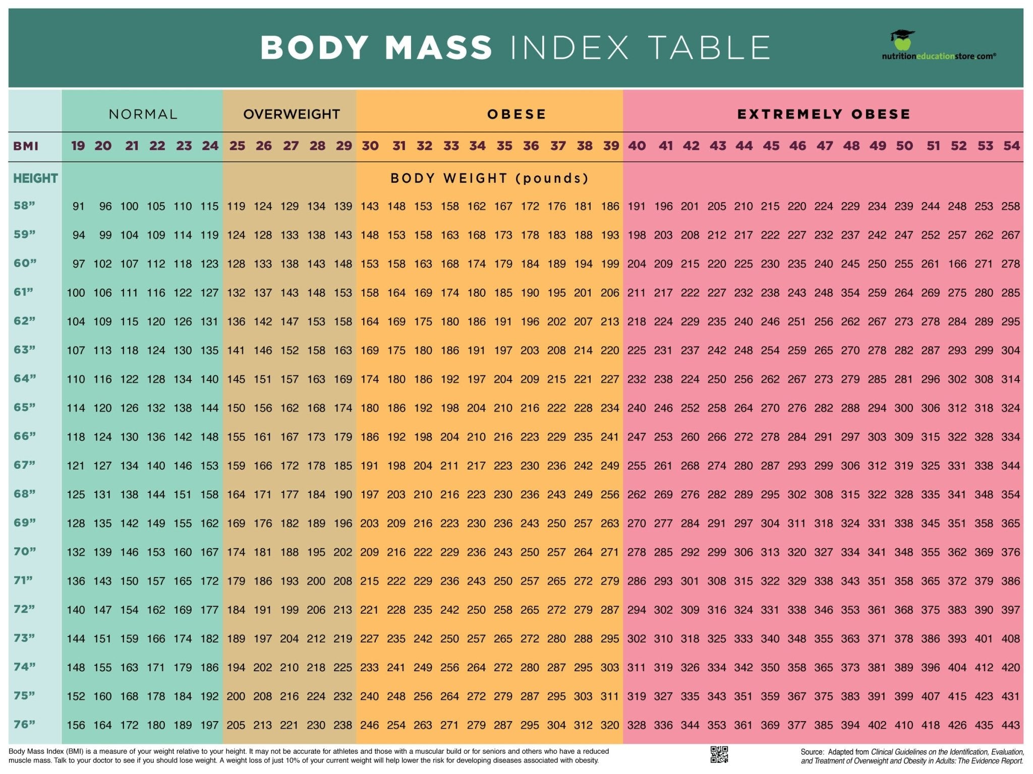 bmi-poster-bmi-chart-poster-body-mass-index-poster-12-x-18-exam-room ...