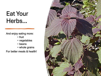 Eat Your Herbs 2 PowerPoint Shows - DOWNLOAD - Nutrition Education Store