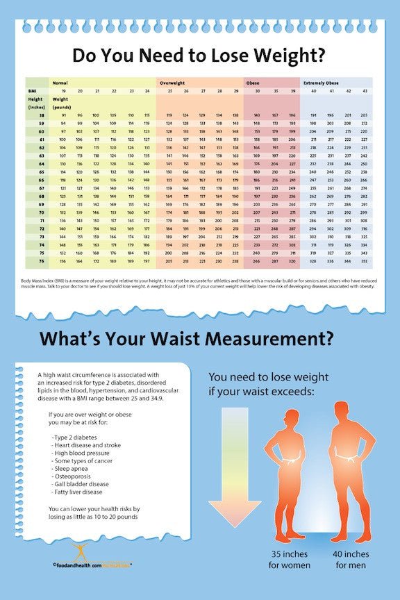 Exam Room BMI Index Chart Poster 12x18 - Nutrition Education Store
