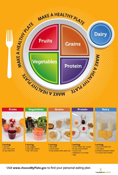 Exam Room My Plate Poster 12x18 - Nutrition Education Store