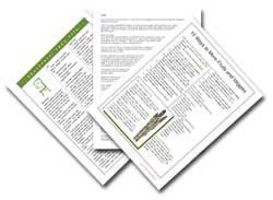 Feel Full on Fewer Calories: Poster Handouts Download PDF - Nutrition Education Store