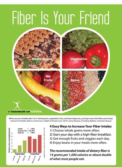 Fiber Is Your Friend Poster - Nutrition Education Store