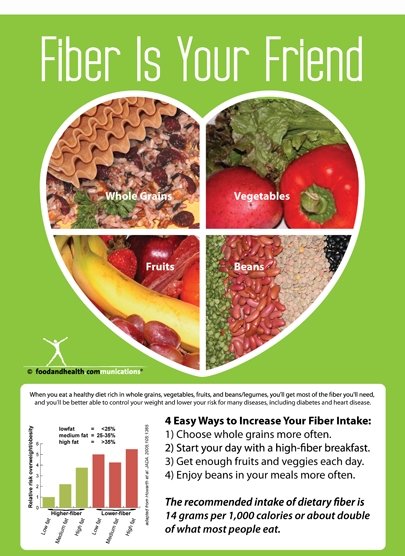 Fiber Is Your Friend Poster - Nutrition Education Store