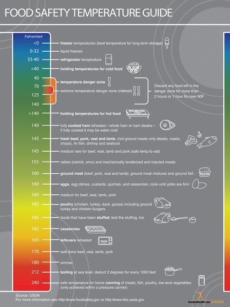 Food Temperature Chart for Food Safety - Mini Poster Handout - Color Handouts - Stacks of 50 - Nutrition Education Store