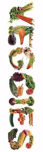 Fruit and Vegetable Bookmarks pack of 50 2"X7" - Nutrition Education Store