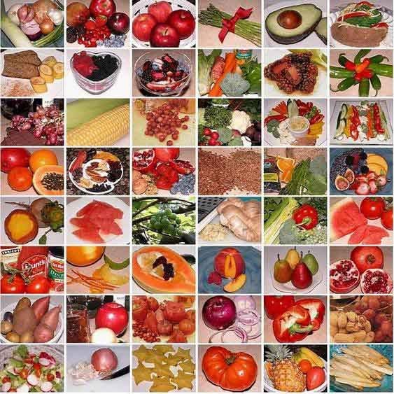 Fruits, Vegetables and Phytochemical Photo CD - Nutrition Education Store