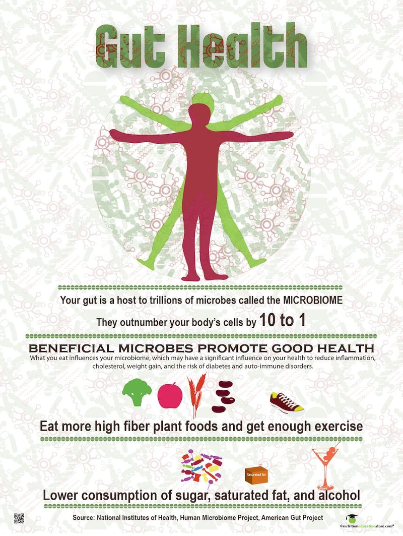 Gut Health Poster - Microbiome Poster 18" x 24" Laminated - Nutrition Education Store