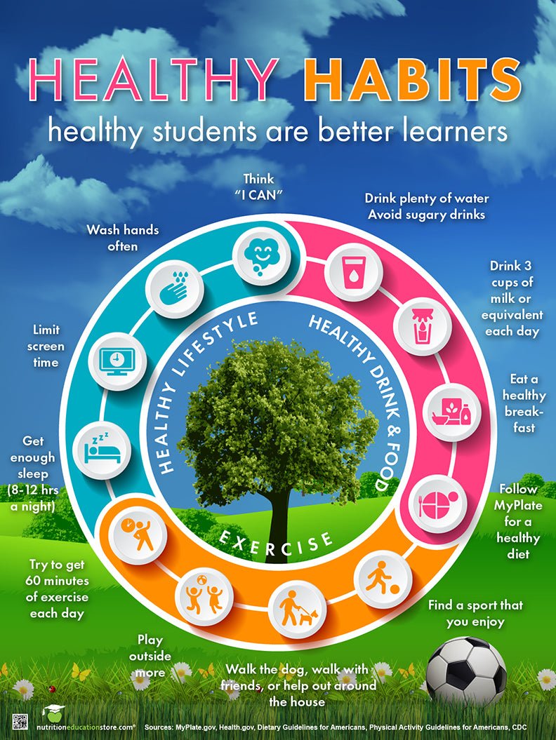 Healthy Habit Wheel Poster - Classroom School Poster - Health Poster - 18" x 24" Laminated - Nutrition Education Store