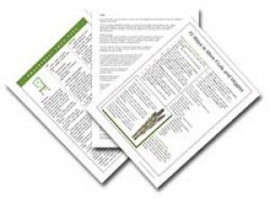 Kitchen Measurements Poster Handouts Download PDF - Nutrition Education Store