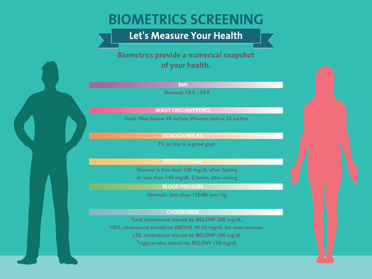 Measuring Your Biometrics - 48" x 36" Banner - Health Fair Banner - Nutrition Education Store