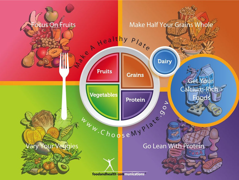 My Plate Banner - Health Fair Banner Featuring Choose MyPlate 48X36 - Nutrition Education Store