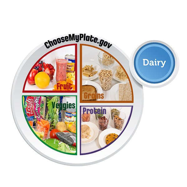 MyPlate Clear Window Cling 12" x 12" - English - Nutrition Education Store