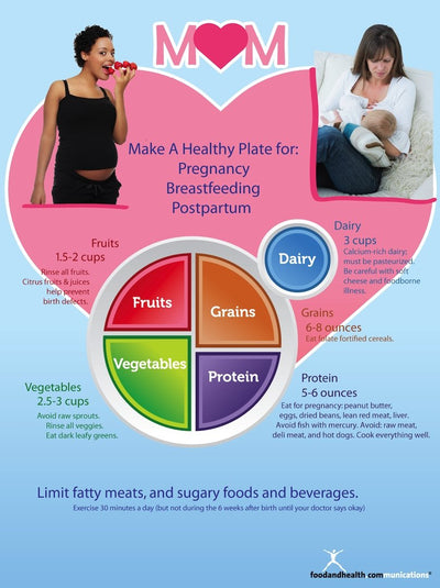 MyPlate for Pregnant and Breastfeeding Moms Poster English Spanish Bilingual 2 in 1 - Nutrition Education Store