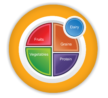 myplate-magnets-packs-of-10-630684.png?v=1676232091