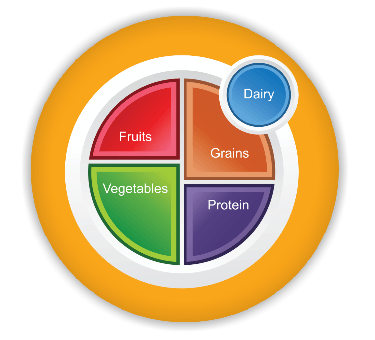 MyPlate Magnets Packs of 10 - Nutrition Education Store