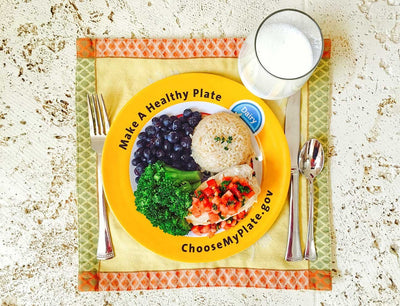 MyPlate Plate Plastic - Nutrition Education Store Exclusive Design - 1 Plate With Free Shipping - Nutrition Education Store