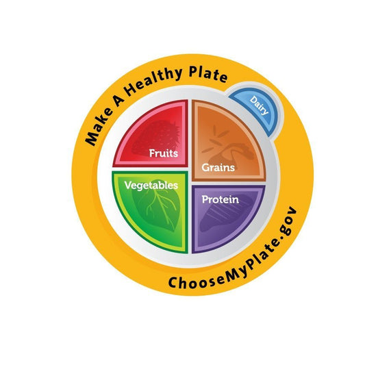 MyPlate Plate Plastic - Nutrition Education Store Exclusive Design - 1 Plate With Free Shipping - Nutrition Education Store