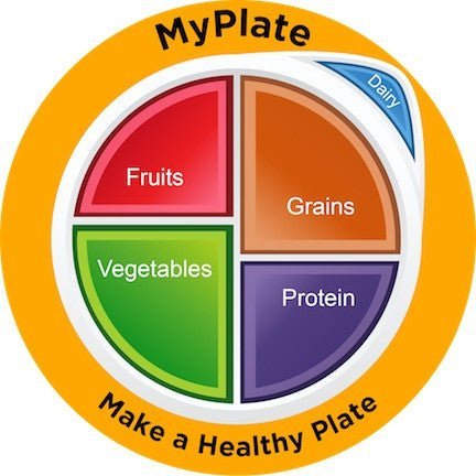 MyPlate Static Clings - Pack of 3 - Nutrition Education Store