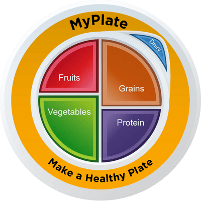 MyPlate Static Clings - Pack of 3 - Nutrition Education Store