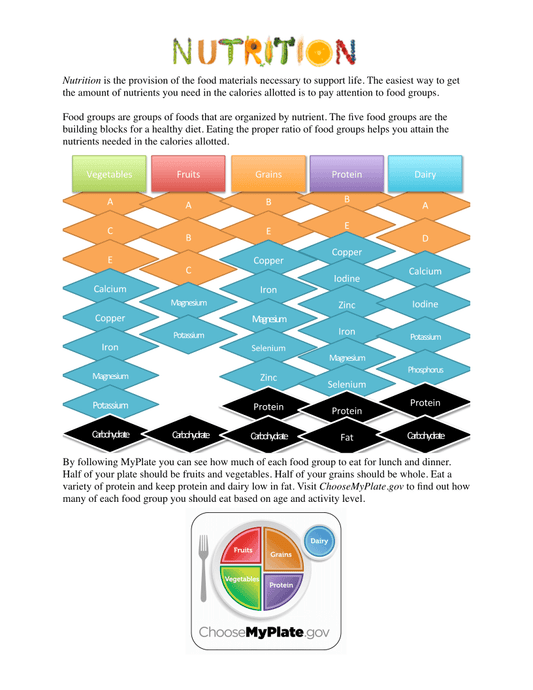 Nutrition Poster - Healthy Food Poster - Nutrition Month Poster - Nutrition Education Store