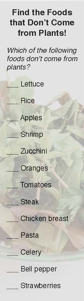 Plant Power Bookmarks pack of 50 2"X7" - Nutrition Education Store