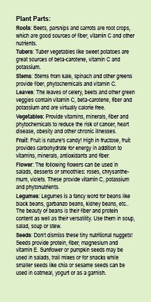 Plants: Many Beneficial Parts Bookmark pack of 50 3"X6" - Nutrition Education Store