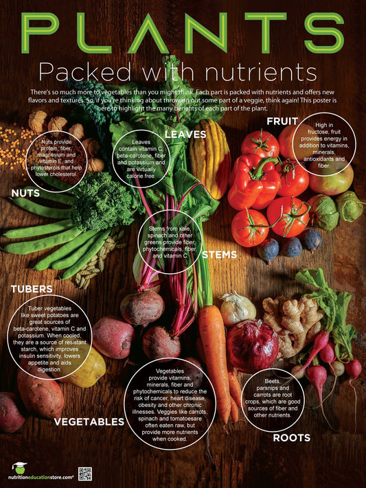 Plants: Many Beneficial Parts Poster - 18x24" Laminated - Fruits and Veggies Promotion